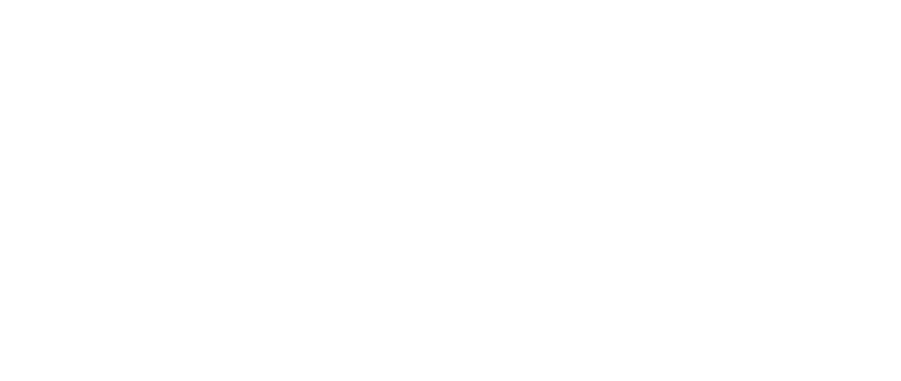 Logo_Focus_white